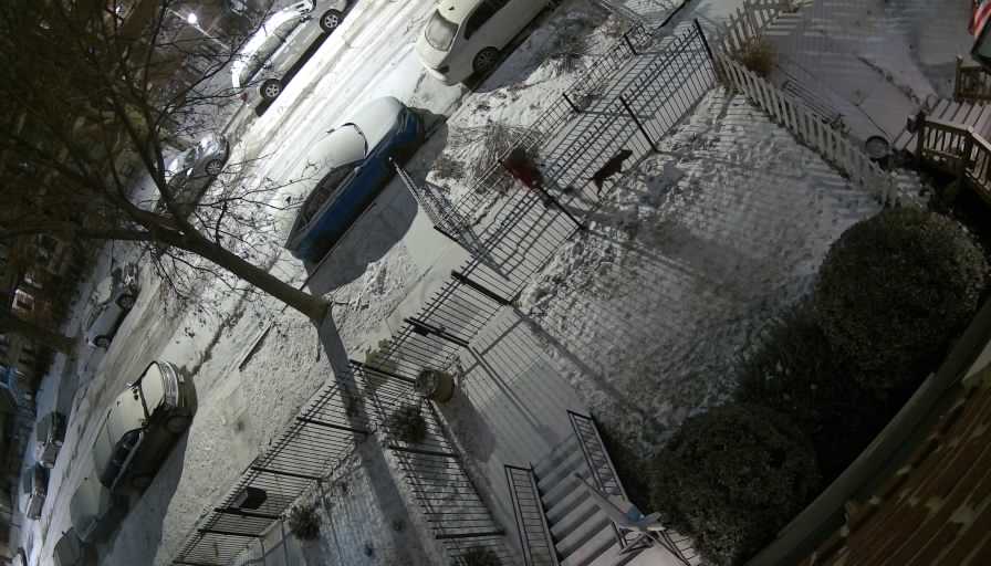 Reolink Camera Two_01_Reolink Home Hub One_20260124183433.jpg